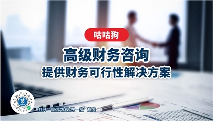 高級(jí)財(cái)務(wù)咨詢